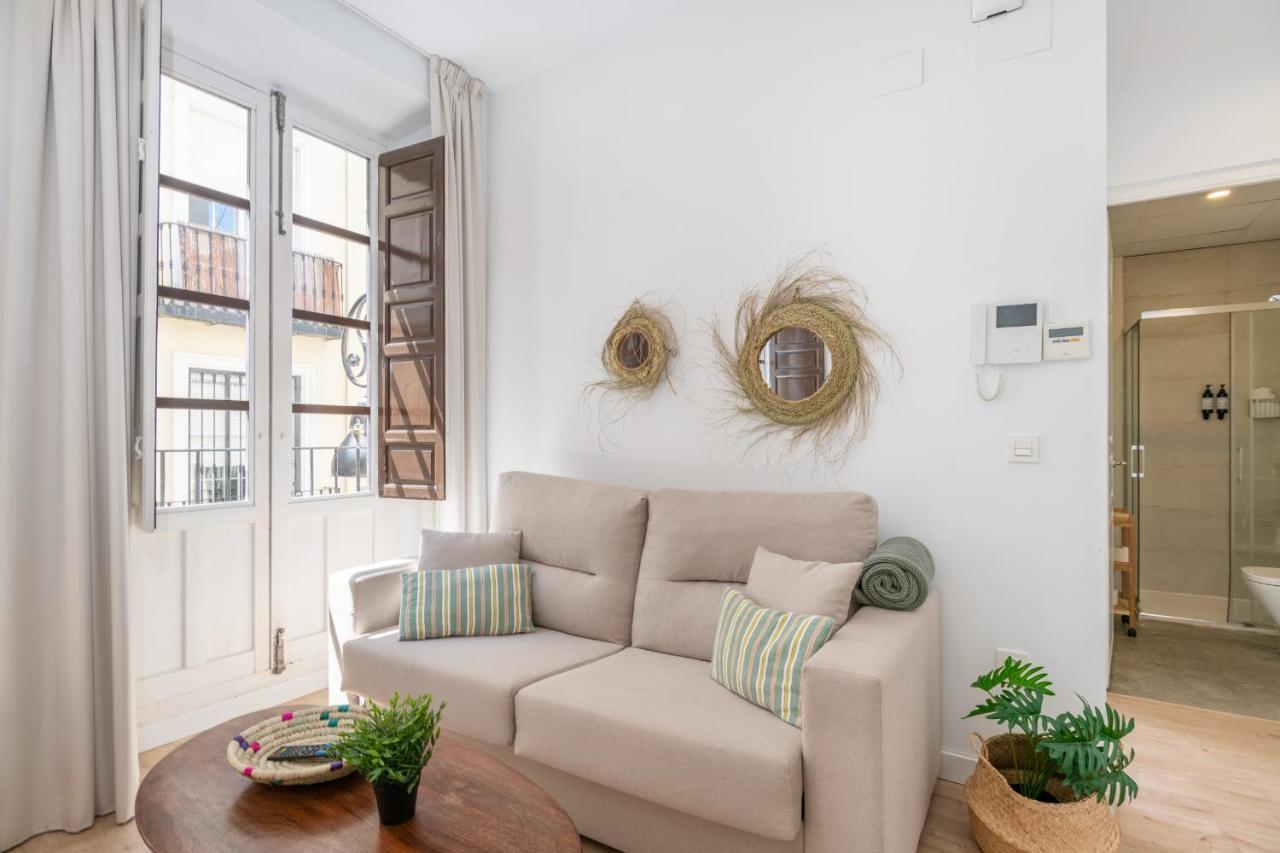 Apartamentos Luna Suites Palacio Dorita グラナダ エクステリア 写真